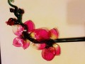 skleněná orchidej