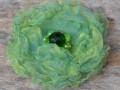 třapatka - zelená