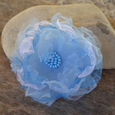 Třapatka - nebeská korálky květina modrá přírodní nebe světlá třapatka břož 