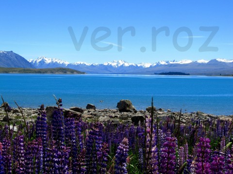 Jezero Tekapo 2 voda fotografie modrá letní květiny krajina hory krásný barevný obloha jezero země cizina pixel cestovat zahraničí nový zéland 