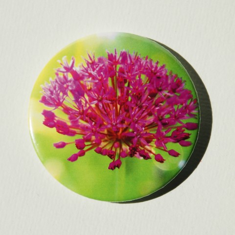 Magnet Česnek v květu (58) květina česnek květ magnet 