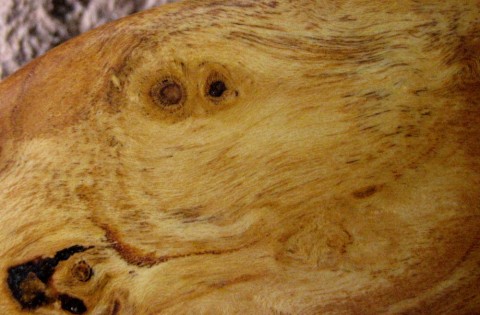 Dřevěný šperk - ve dřevě zakletá dřevo řezbářství třešeň přívěšek zakletá kresba dřeva prkénko 