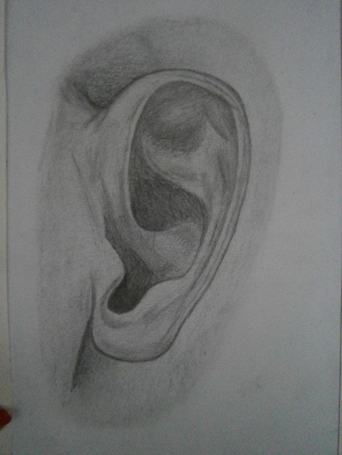 Ucho člověk lidé 