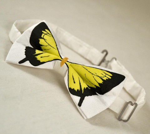 Motýlek - bílý se žlutým motýlem motýl bílá černá žlutá motýlek žlutý černý 