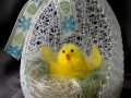 MAXI vajíčkové hnízdečko 23 cm
