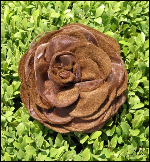 Čokoládově hnědá růže brož doplněk květina růže květ léto do vlasů 