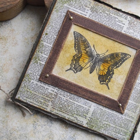Přání motýlí motýl přání hnědá žlutá obrázek gratulace karta otakárek 