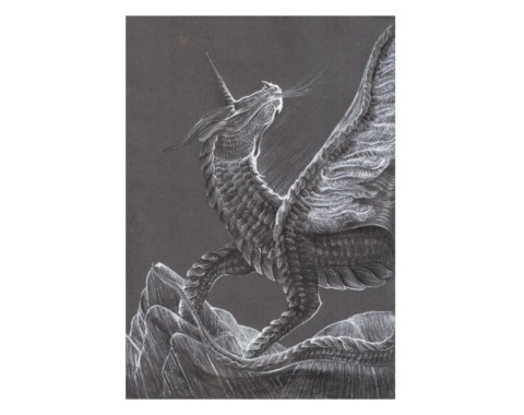 Obraz Skály, kde zpívají draci draci 