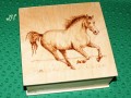 Dřevěná krabička kůň