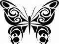 Motýl - tatoo