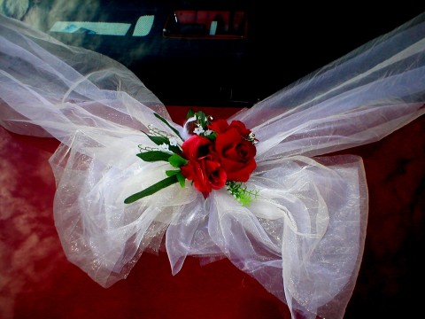 Svatební jízda VII. srdce dekorace svatba auta svatební lenka výzdoba nevěsta ženich holoubci hand made studio floristka leni kalivodová s přísavkami 