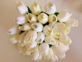 Svatební tulipány - kytice a korsáž