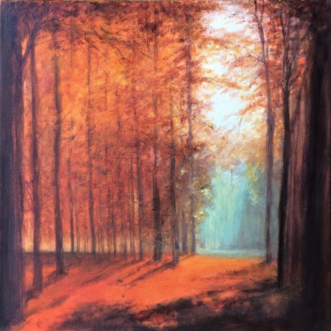 Obraz V prosluněném lese strom obraz stromy les sluneční paprsky magický les oranžový les prosvětlený les prosluněný les 