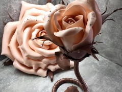Svítící poupě růže