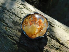 Podzim...(resin) brož