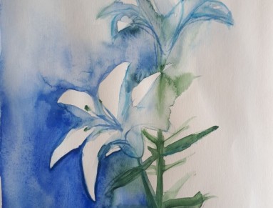 Akvarel originál Něžná lilie