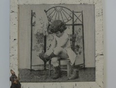 obrázek - pole levandule