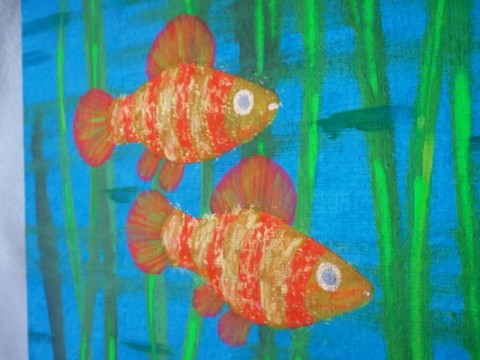 Třepetání zlatých ploutviček moře ryba rybka rybička rybky rybičky akvárium akvárko zlatá rybka podmořský akvarijní zlatá rybička 