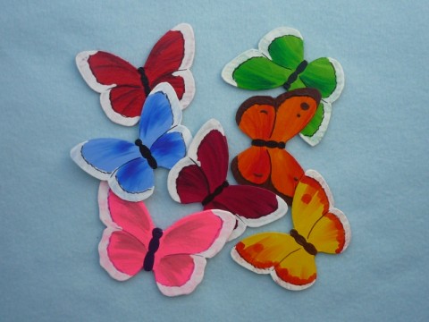 ŽLUŤÁSEK nebo MODRÁSEK (magnetka) hmyz motýl motýlek křídla modrásek motýlí žluťásek ostruháček 