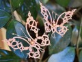 růžový motýlek - zápich