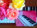 Růžové piano – taštička
