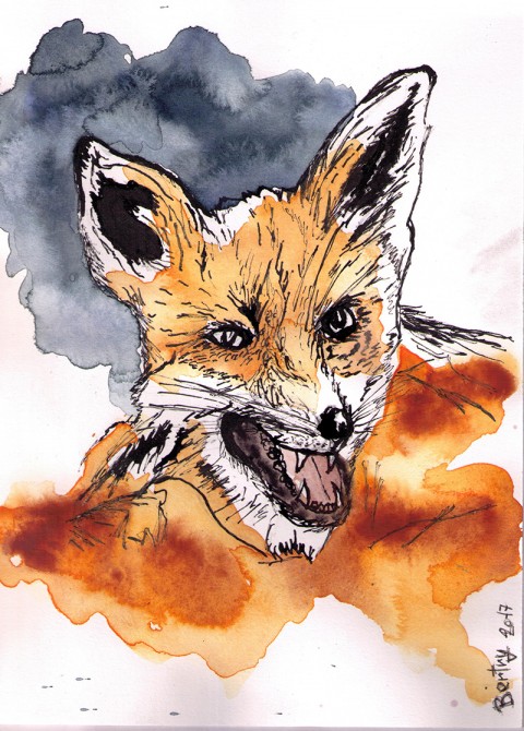 Lišák je syčák zvíře obraz malba příroda obrázek kresba akvarel liška perokresba 