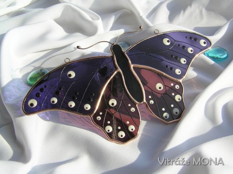Motýl Bruno fialový motýl motýli otakárek babočka 