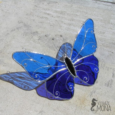 Motýl Alfred s kudrlinami fialový motýl motýli otakárek babočka 