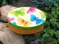 Pestrobarevní motýli