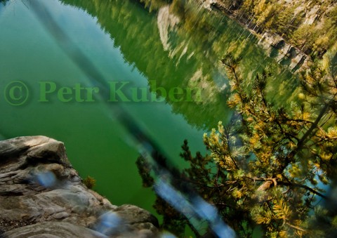 Jezero voda barva strom příroda borovice les jezero turistika koupání čistá jehličí adržbachy azut čisto jehličnatý 