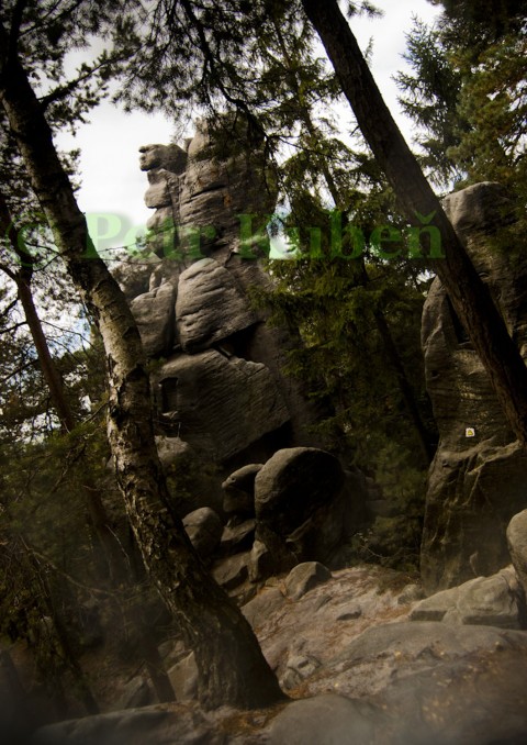 Skalisko příroda hory les lezení skála hora skály turistika horolezectví 