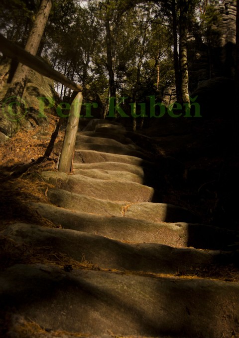 Schody kámen strom příroda les skála kameny skály schody značka schod adržbachy rezervace listnáče hvozd jehličí jehličnaté stromy 