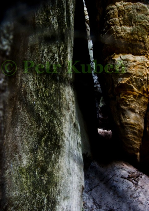 Mušle kámen strom příroda stromy vlna les skála kameny struktura emoce skalisko rezervace 