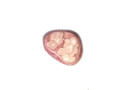 005. Rodochrozit