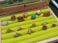 Osteofix, Prsten, Rainbow Jadeit