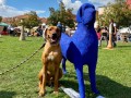 Socha - Modrý pes