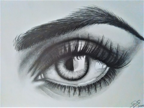 Kreslené Oko oko kresba minimalistické kresba tužkou kreslený obrázek kreslené oko realistické 
