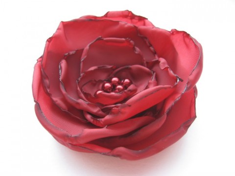 Black magic®...Odrůdy růží... brož květina růže květ červen odrůda 