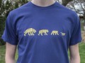 Kočičí evoluce - tričko pánské
