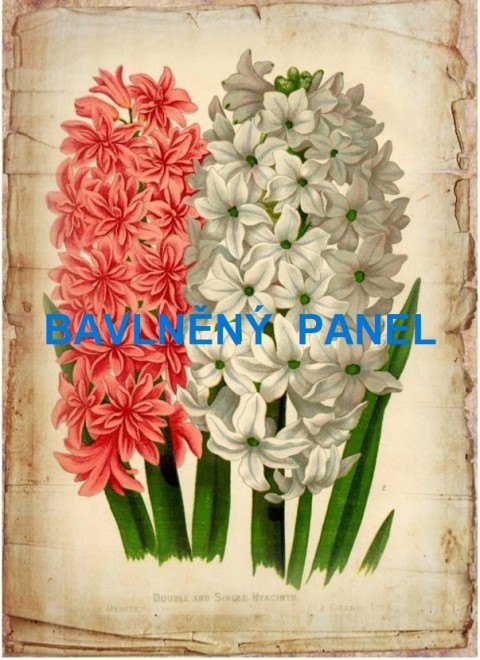 Bavlněný panel  - vel. A5 - 164-321 