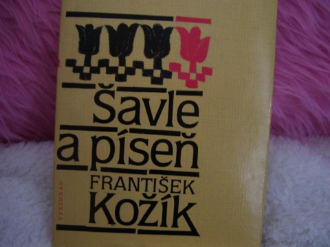 ŠAVLE A PÍSEŇ knížka kniha román četba šavle a píseň kožík 