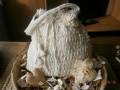 Nová, crochet kabelka