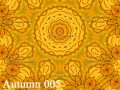 Autumn 001 - 005