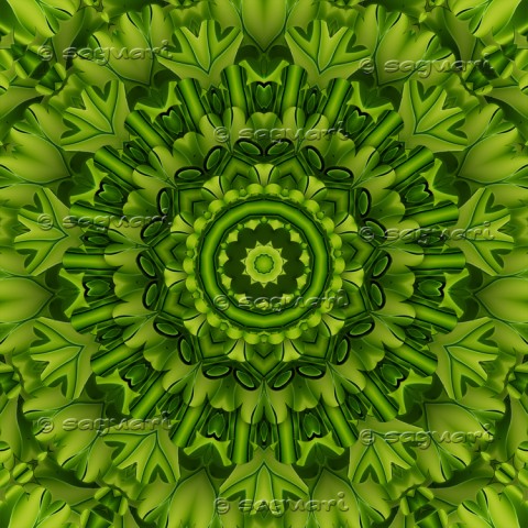 green star domov květy interiér relax hvězdy mandala kaleidoskop 