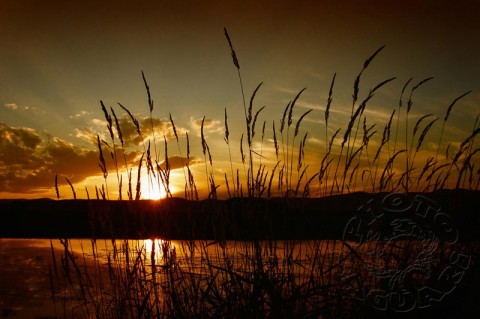 fotografie, západ slunce slunce tráva večer západ rěka 