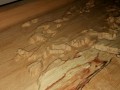 Dřevěná dubová mapa světa