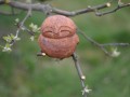 Mini Jizo