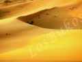 Písek na poušti