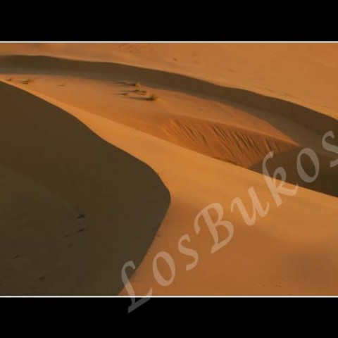 Linky krajina slunce afrika poušť písek teplo maroko duny horko sucho světlo a stín 