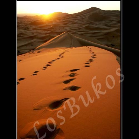 Východ slunce krajina slunce afrika poušť písek teplo maroko duny horko sucho světlo a stín 